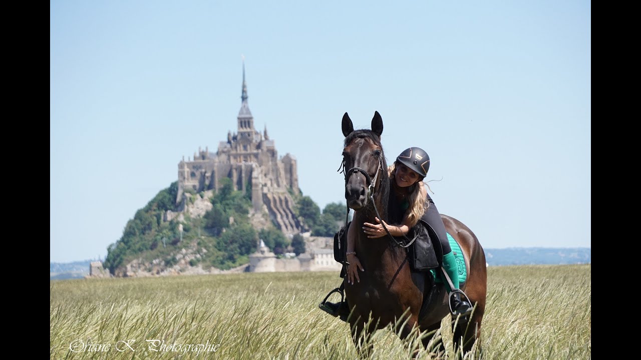 Kali de la Luz, Jument PRE noire, 5 ans, de la taille et de l’os
