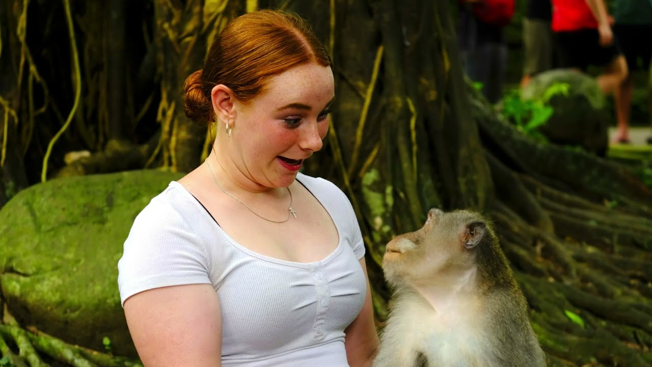 Bali, Ubud, Monkey Forest, Oct 2022, Audio - Post Malone, I Like u - Harry Styles Late Night Talking