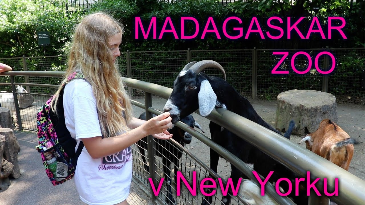 Madagaskar zoo v New Yorku  /LEA