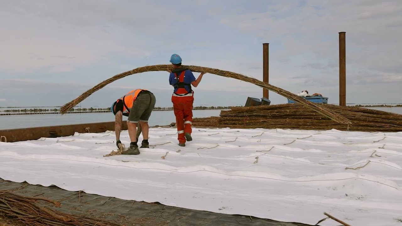 2025 07 Markermeer | wiepen dammen | Van Aalsburg BV | wilgen | vissenbossen