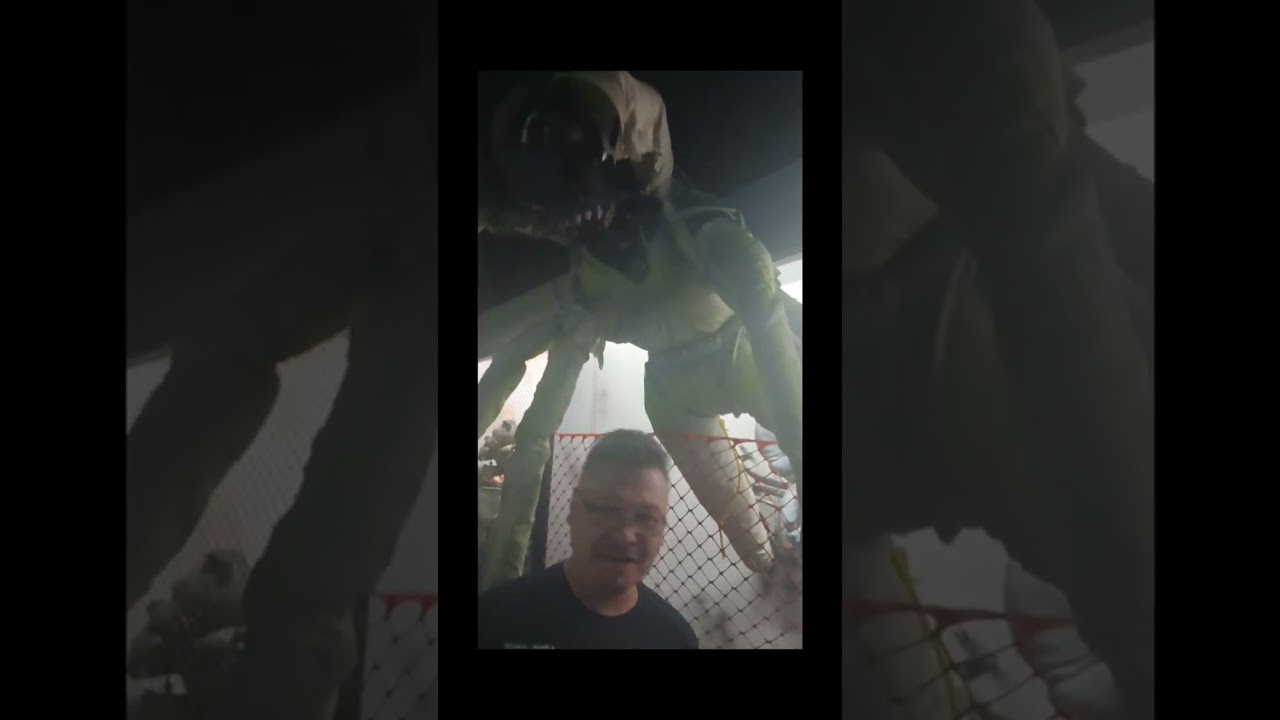 Пришельцы из Розуэлла 👽 Нью-Мексико