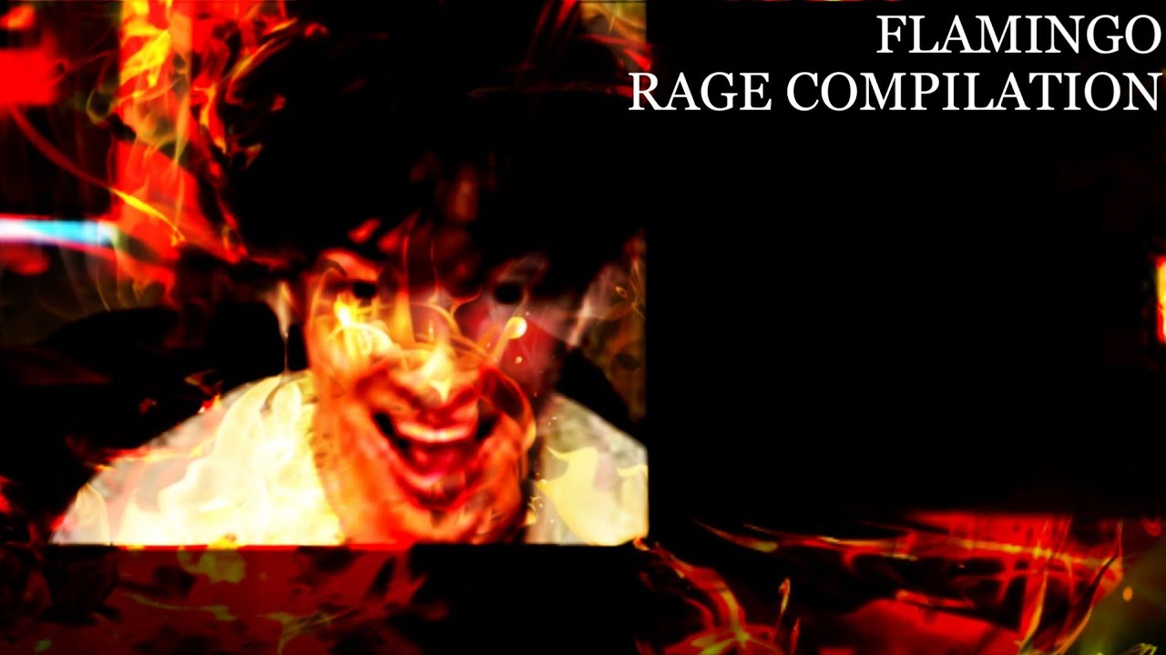 Flamingo Rage Compilation