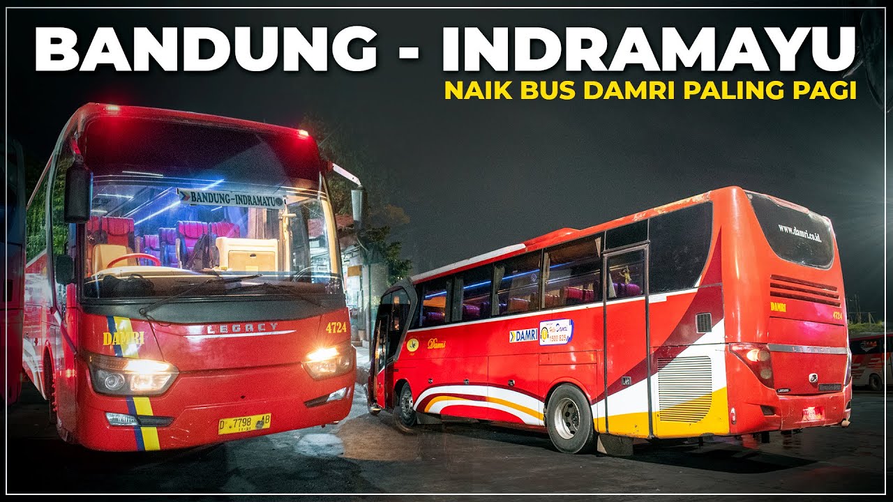 Satu - Satunya Bus dari BANDUNG ke INDRAMAYU | Naik Bus DAMRI Lewat Jalur Ekstrim !