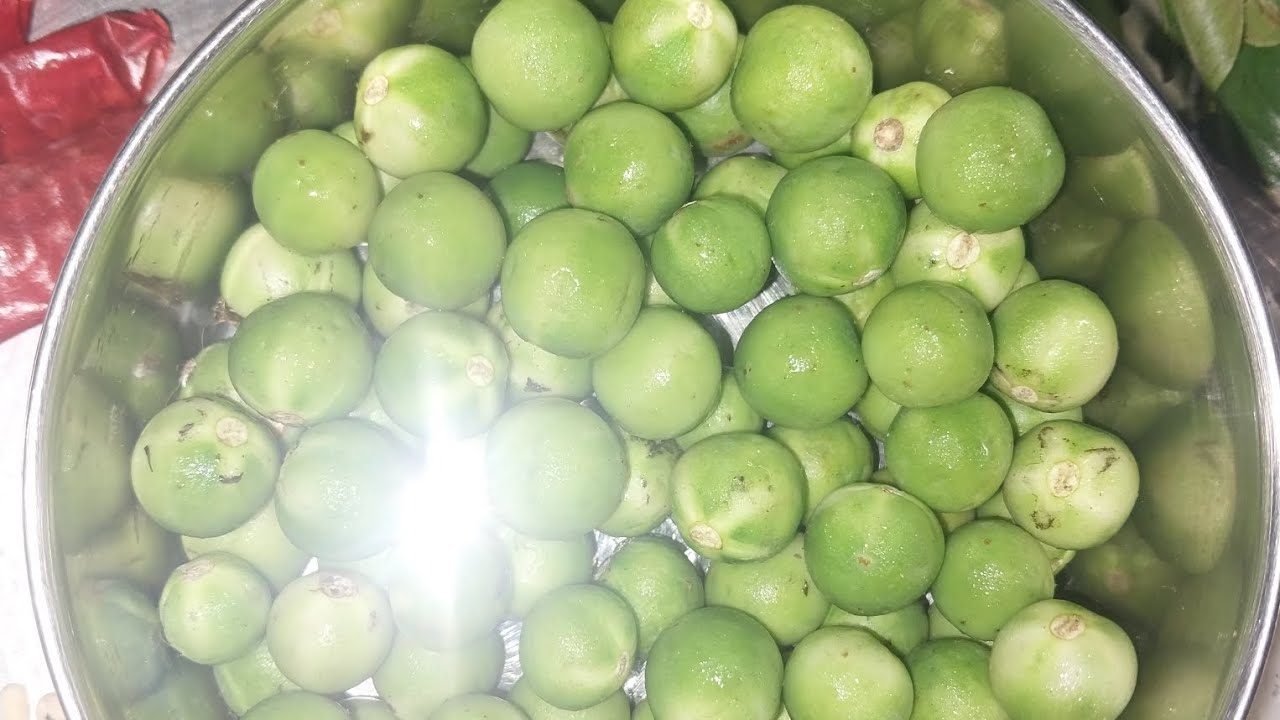 Sundakkai thuvaiyal# சுண்டக்காய்#துவயல்#lunch box#thovaiyal#