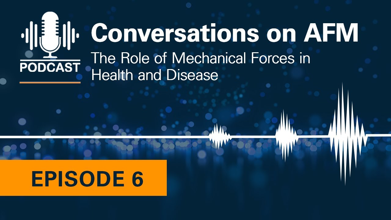 Conversations on AFM #6: The Role of Mechanical Forces in Health and Disease
