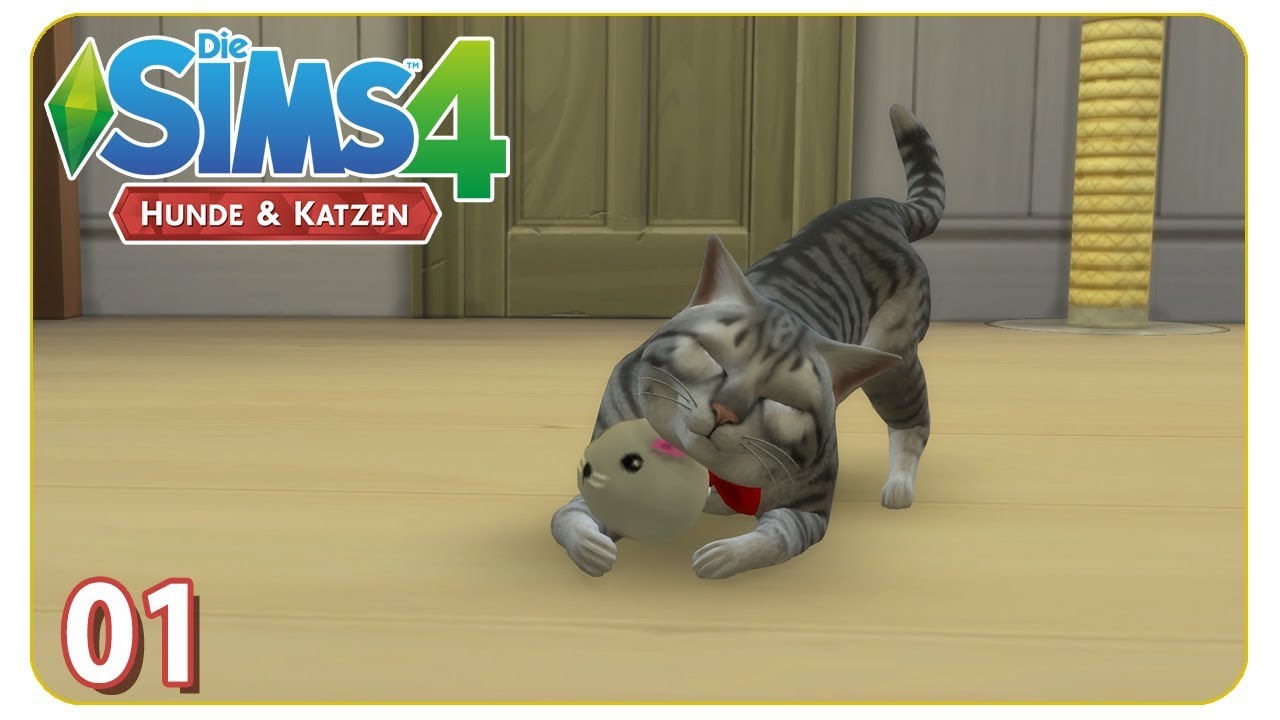 Ein Kater zum verlieben! #01 Die Sims 4: Hunde & Katzen - Let's Play