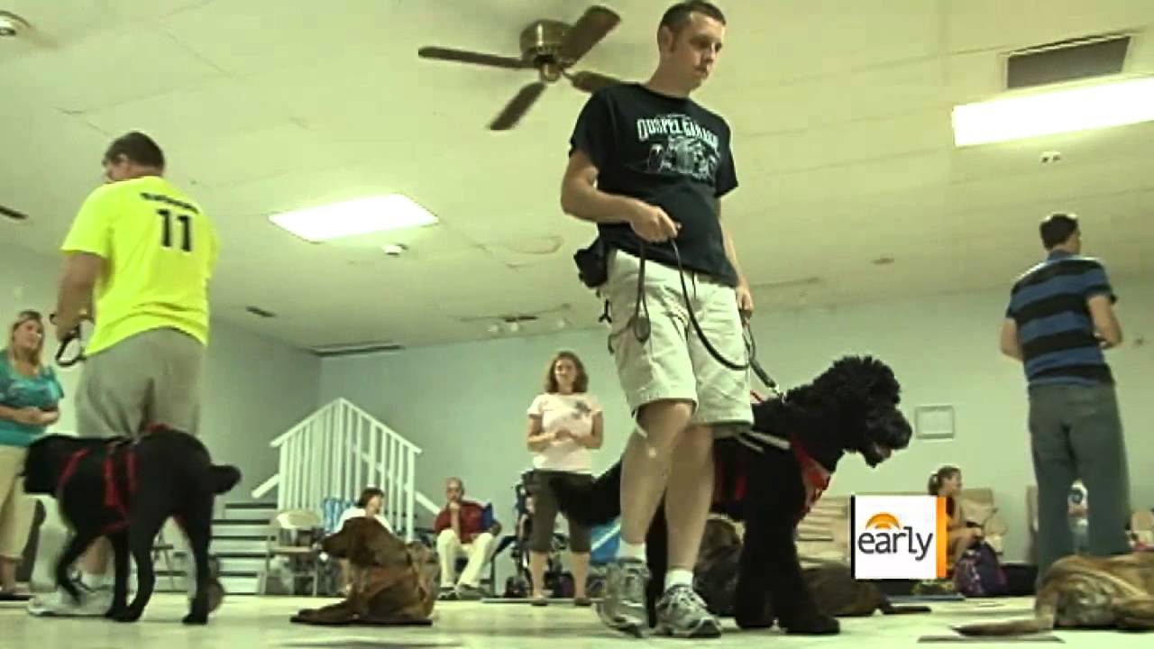 Service dogs and epilepsy