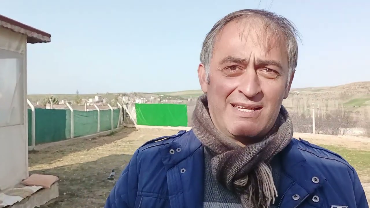 haydar atılgan abime teşekkür ederim kafa damızlık larından bir takım mezatıma hediyesi