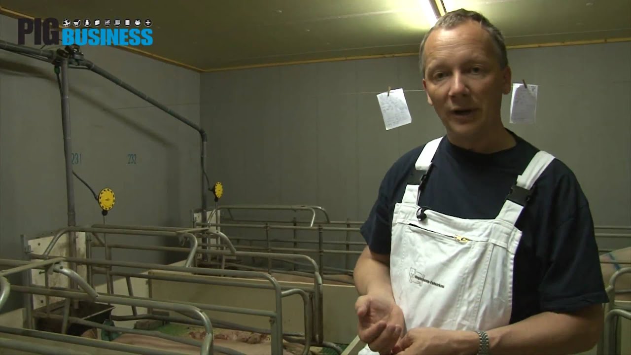 Johnny Hogenkamp - Deel 1 - Introductie en kraamstal