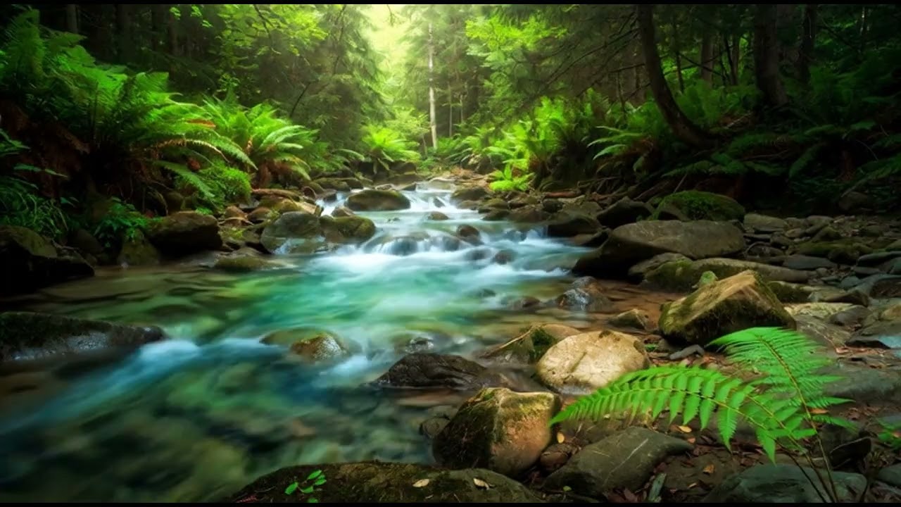 8 HOURS of Deep RELIEF Music​MELTS Stress & Anxiety Away (Ultimate Alpha Waves) FINALLY, Peace.78