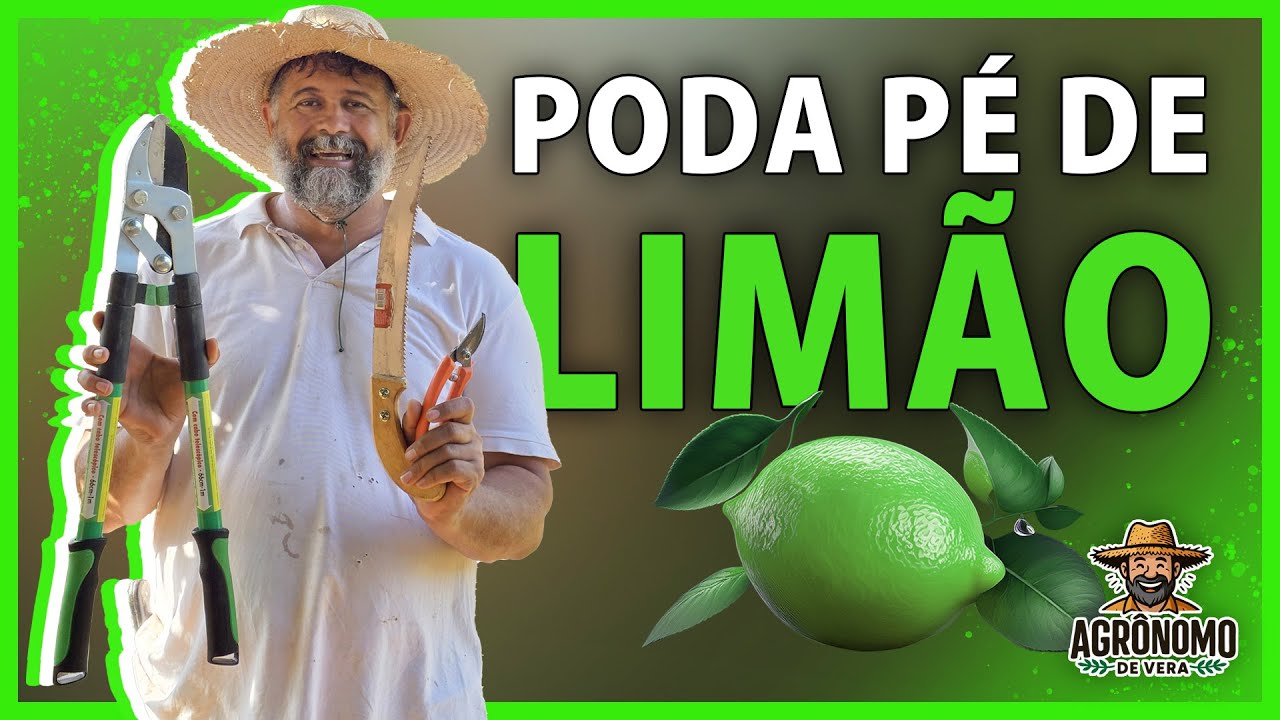 Porque precisa PODAR o pé de LIMÃO 