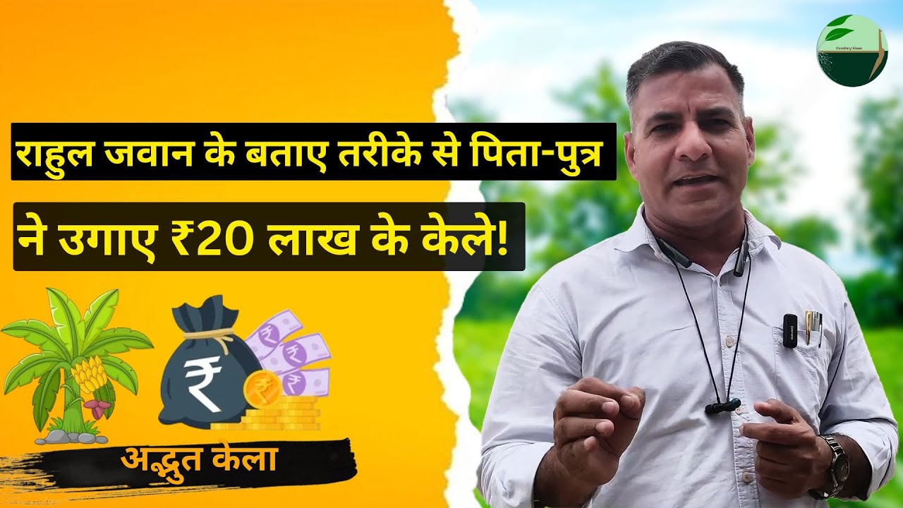 1409-Kisankaryashala: ना के बराबर डीएपी यूरिया का प्रयोग करके भी, लाभदायक केले की खेती #residuefree