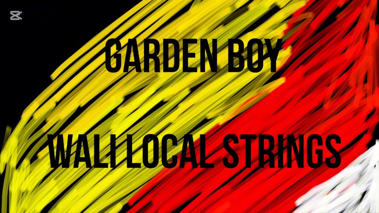 GARDEN BOY - WALI LOCAL STRINGS (2025) Ai remake 
