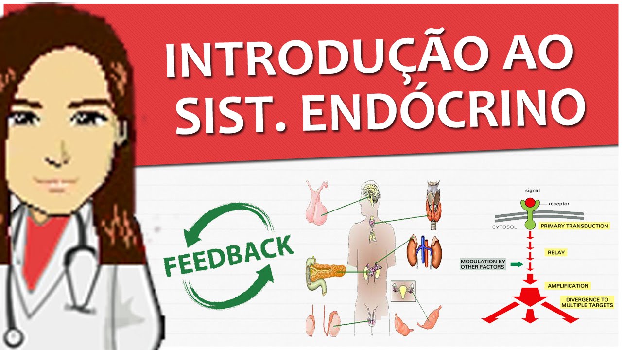 Sistema Endócrino 01 - Introdução (conceitos, mecanismos de ação e receptores (vídeo-aula)