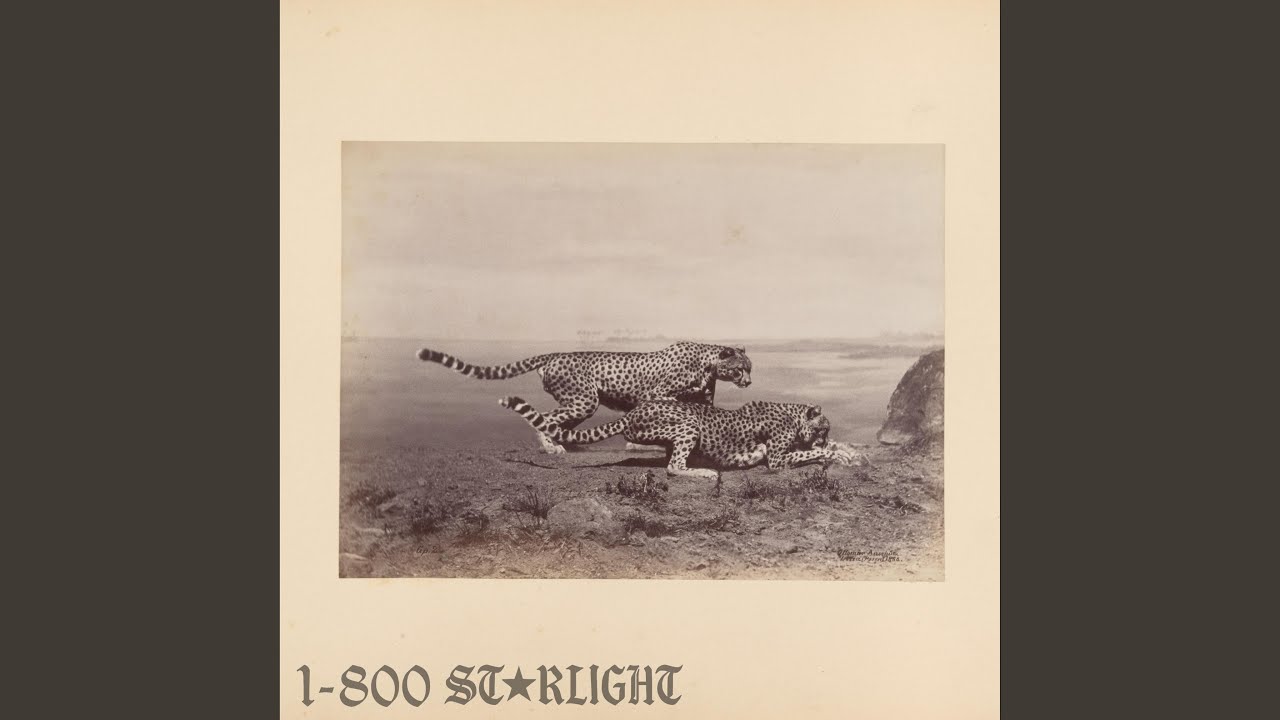 Starlight (1-800 GIRLS Remix)