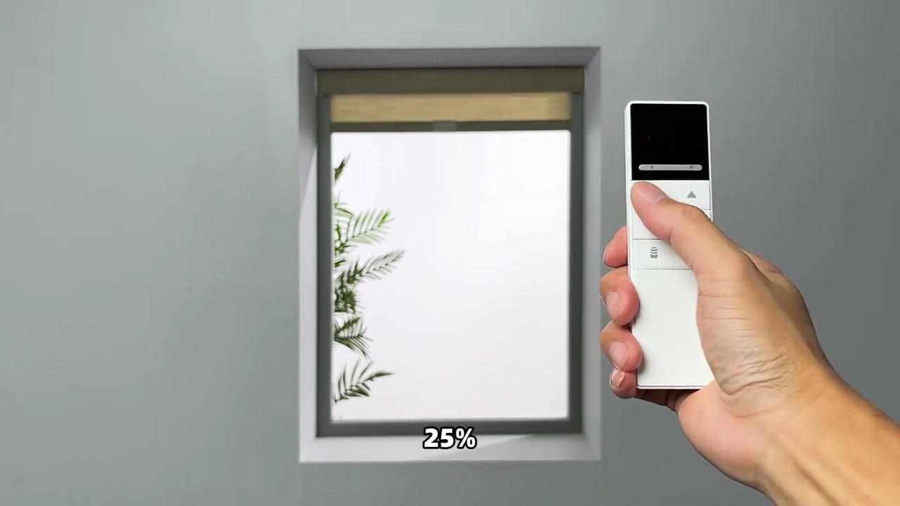Zshine Combination of Automatic and Manual System Remote Setup