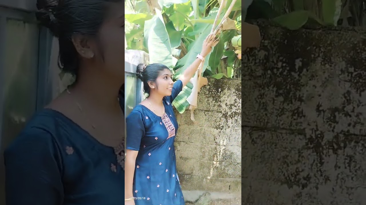 വ്യത്യസമായ  ഒരു കാഴ്ച#banana#alappuzha#enjoy#farming #shorts#viral#