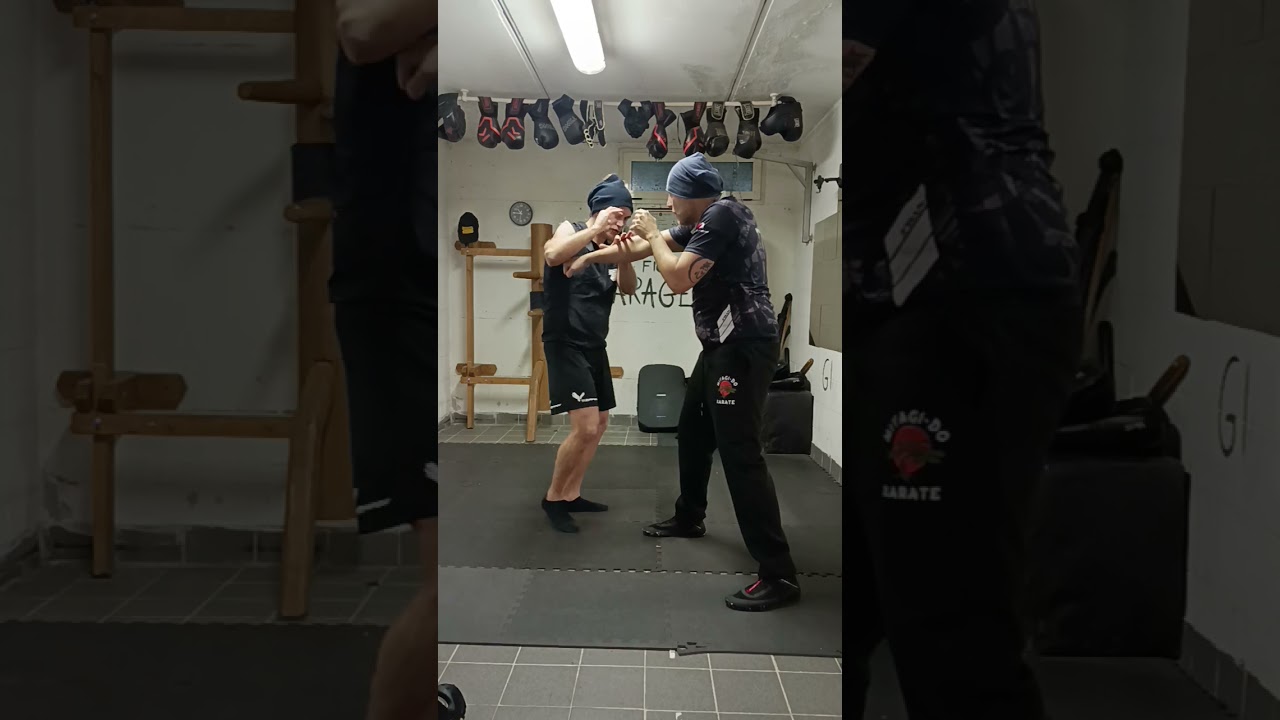 Una lezione al Wing Fight garage: accorciare la distanza #artimarziali #difesapersonale #wingchun 