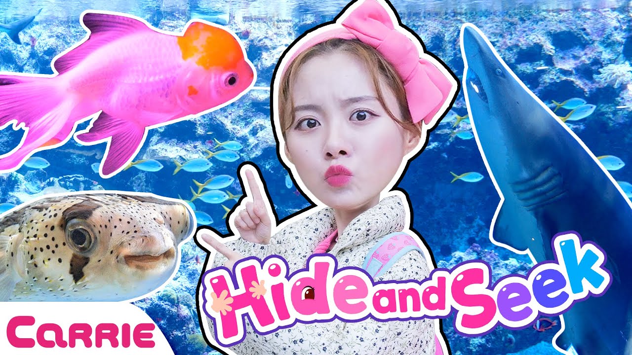 아쿠아리움에 숨어 있는 반짝 반짝 빛나는 물고기 탱탱볼 찾기 놀이  | 숨바꼭질 Hide and Seek