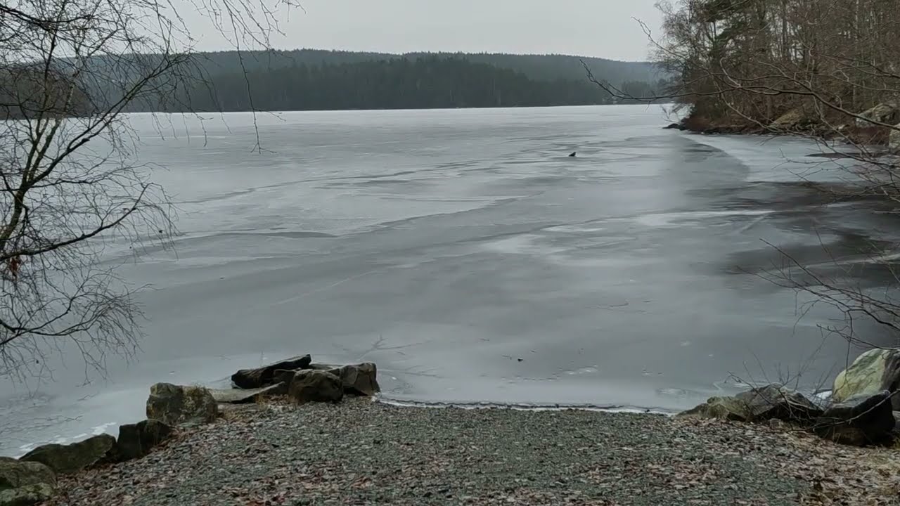 Raslången