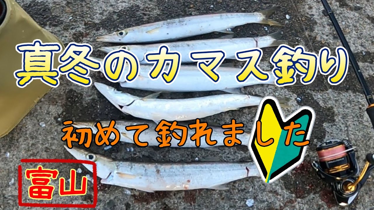 真冬のカマス釣り～初めてやったけど釣れました～