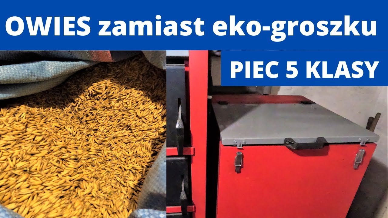OWIES zamiast eko-groszku , piec 5 klasy !!Tani opał !!Piec  z podajnikiem