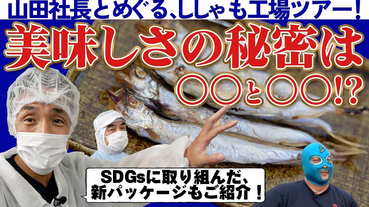 【徹底解説】山田のシシャモの美味しさの秘密がここに！垂水工場を山田社長がレポート!!