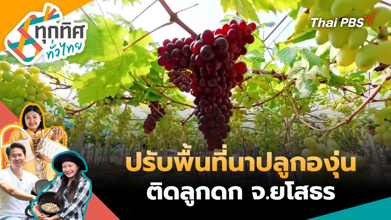 ทุกทิศทั่วไทย | 20 ก.พ. 69