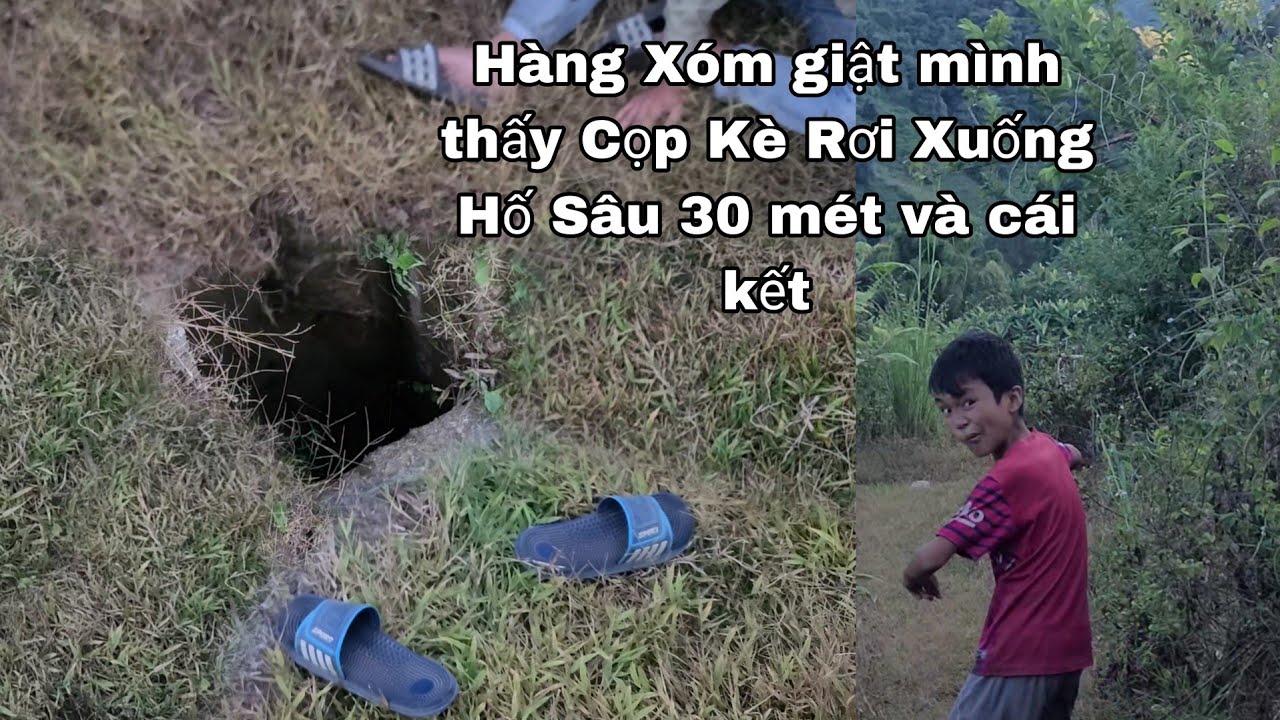 Cọp Kè Khiến Hàng Xóm Giật Mình Khi Tưởng Rơi Xuống Hố Sâu 30m