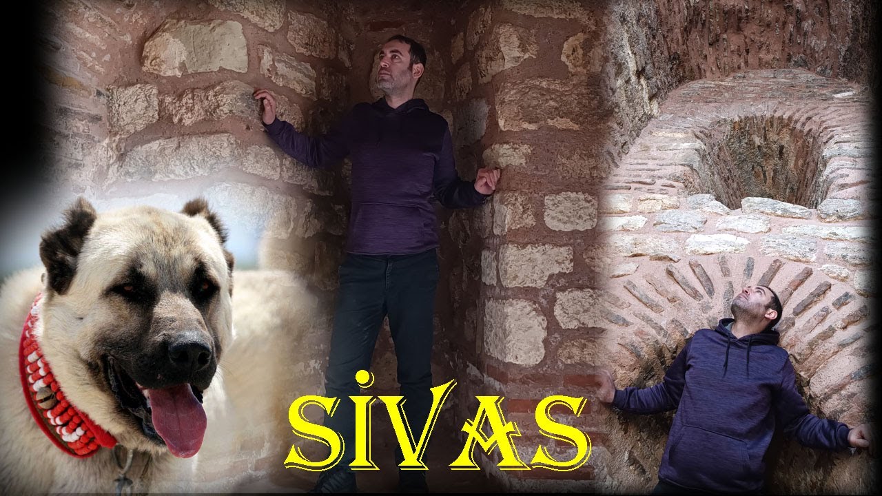 Sivas Kangal Köpeği Almaya Sinekli ye Gittik Ardından Edirnekapı Kuş Pazarı ve Tekfur Sarayı Gezdik.