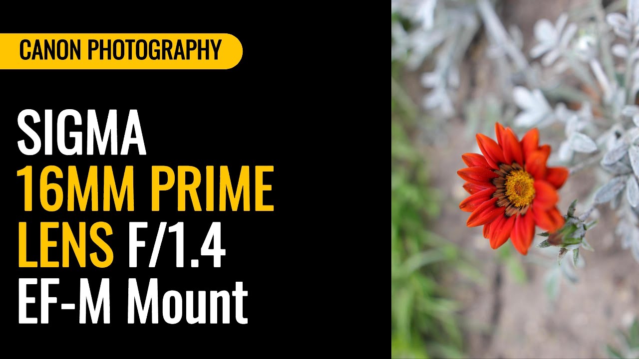 SIGMA 16mm Prime Lens | Canon M50 Mark II | Part1