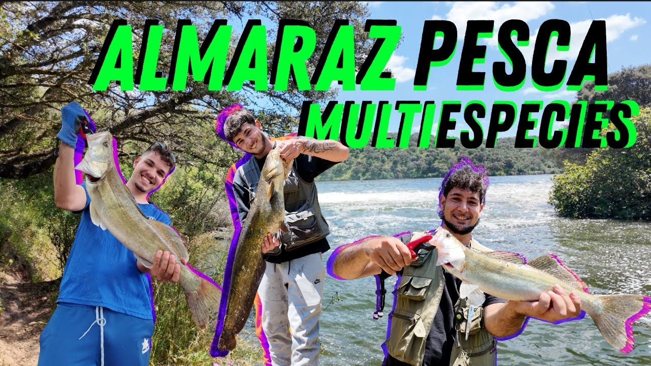 🎣 PESCA MULTIESPECIES EN ALMARAZ 🎣