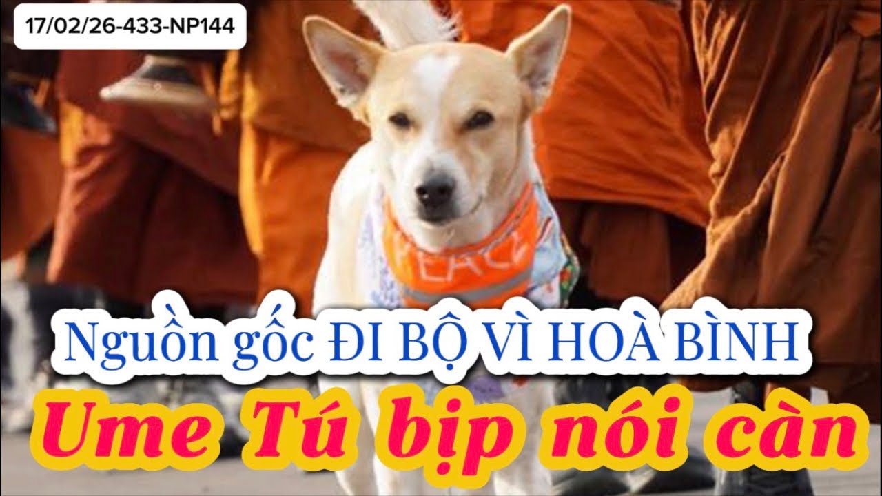 Làm rõ ai khởi xướng việc các nhà tu đi bộ. Nguồn gốc của ĐI BỘ VÌ HOÀ BÌNH- WALK FOR PEACE