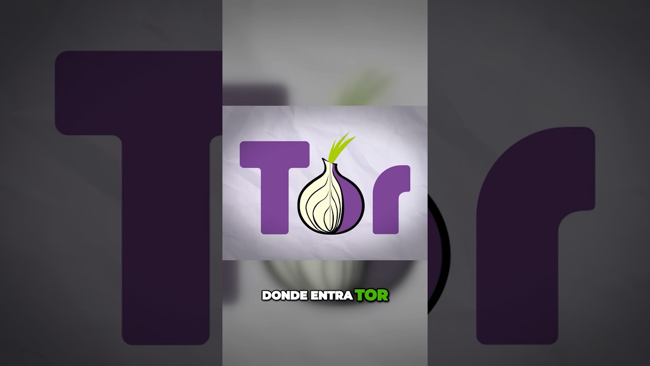 As&iacute; funciona TOR