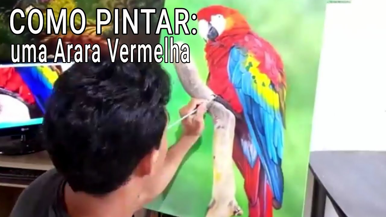 TUTORIAL como PINTAR uma ARARA VERMELHA passo a passo