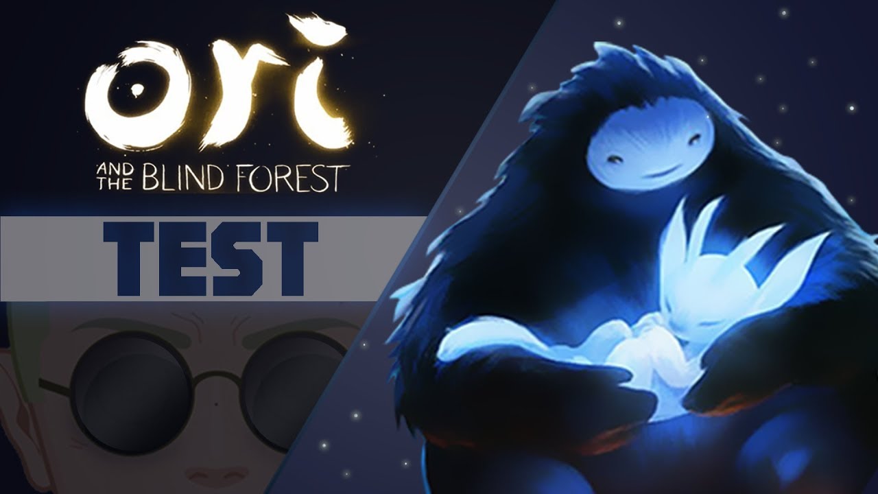 Ori and the Blind Forest - Petit mais costaud !