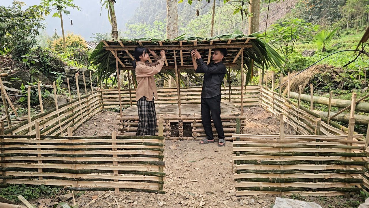 Homeless boy and poor girl build a complete chicken farm, set up a roof