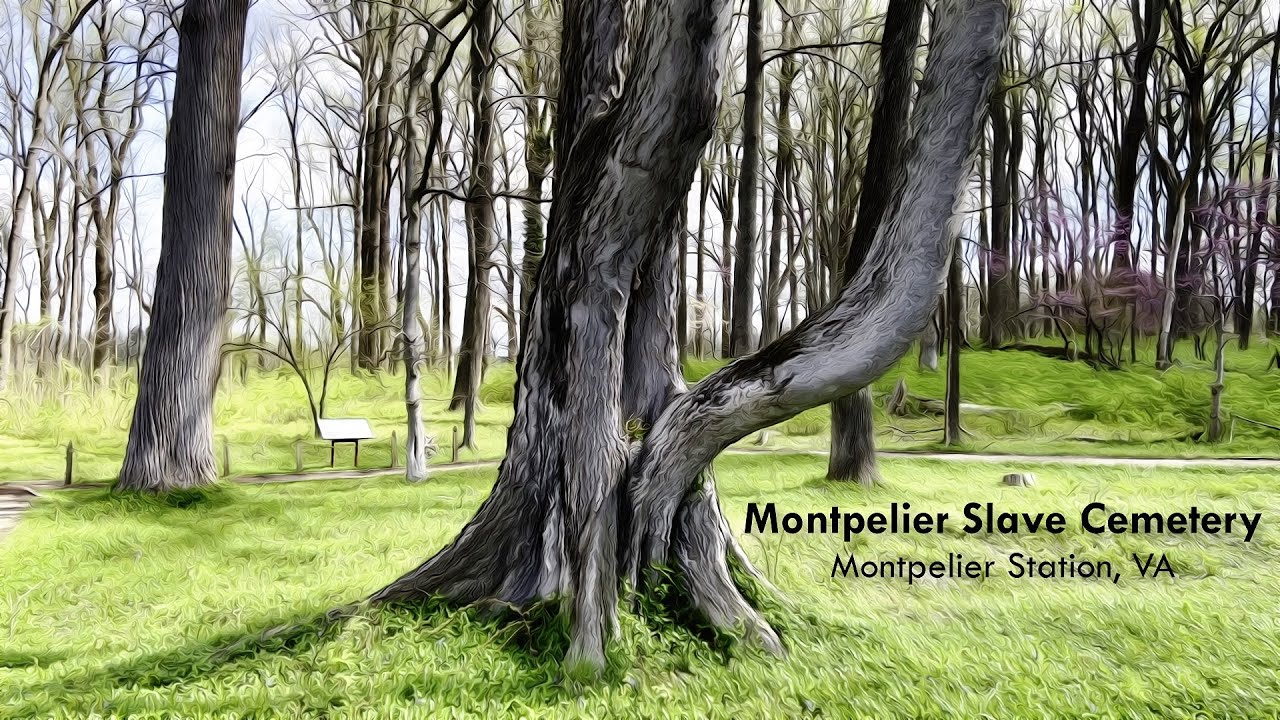 Montpelier Slave Cemetery - Montpelier Station, VA