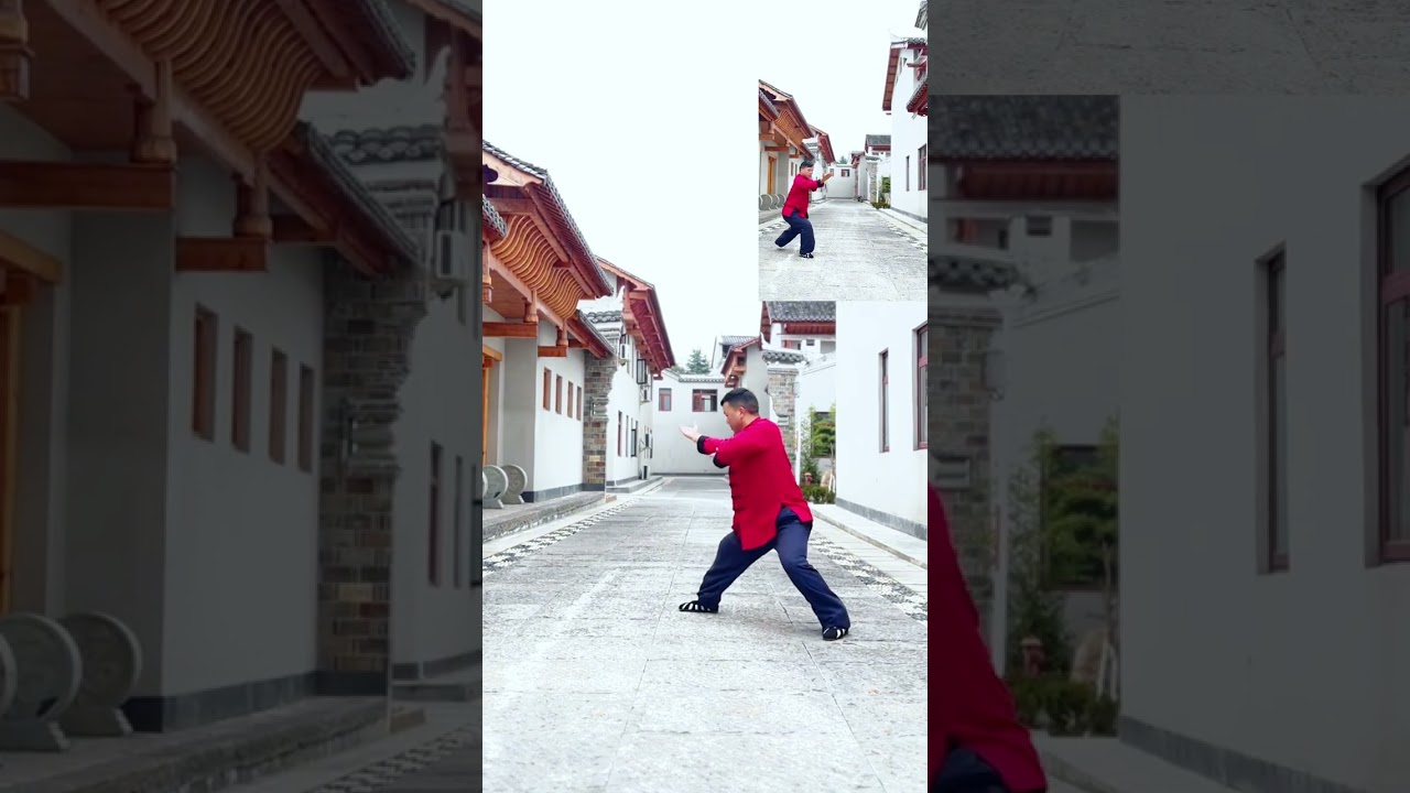Wudang Nine-Style Tai Ji Chuan Teaching Video#kungfupractice #kungfutraining #kungfuskills #kungfu