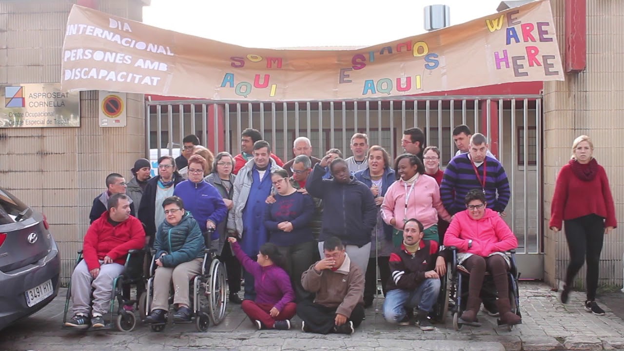 Dia Internacional de les persones amb Discapacitat