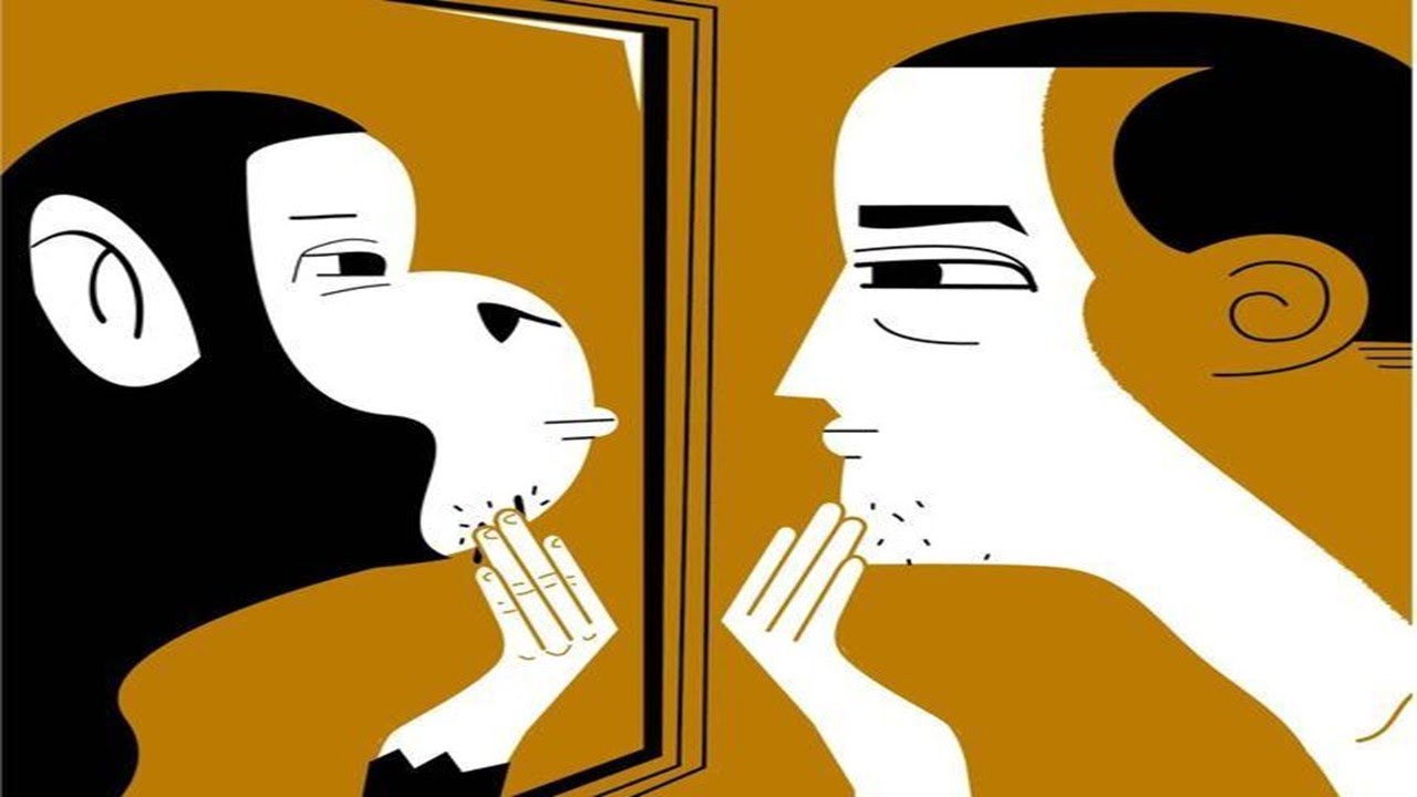 ¿Qué diferencia a un humano de un animal? (Según Rousseau) - ¿Qué nos hace humanos?