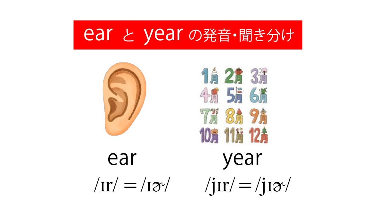 【ear と year の発音の違い】