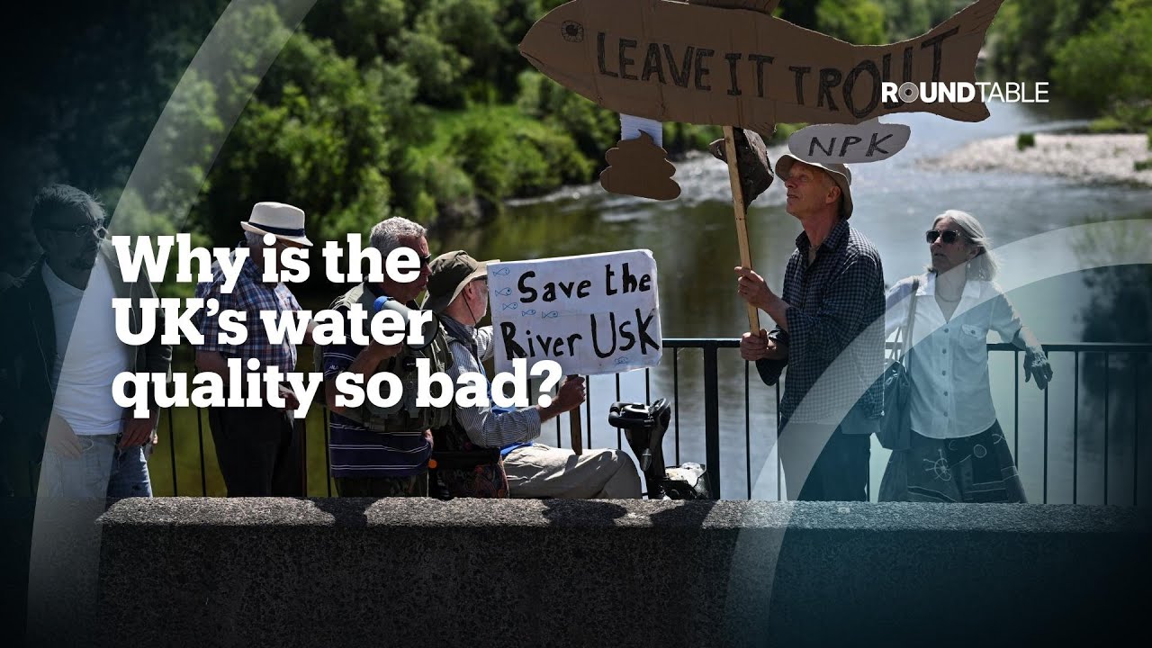 Why is the UK&rsquo;s water quality so bad?