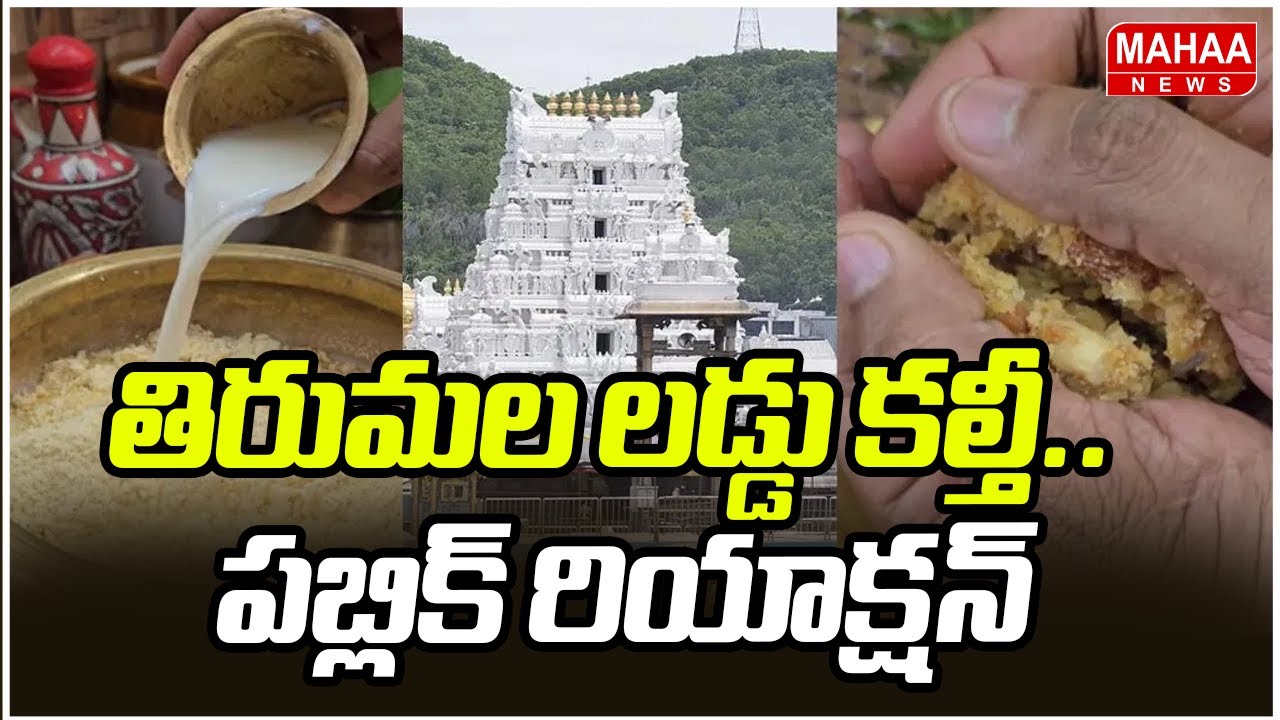 తిరుమల లడ్డు కల్తీ.. పబ్లిక్ రియాక్షన్ | Public Reaction On Tirumala Laddo Issue | Mahaa News