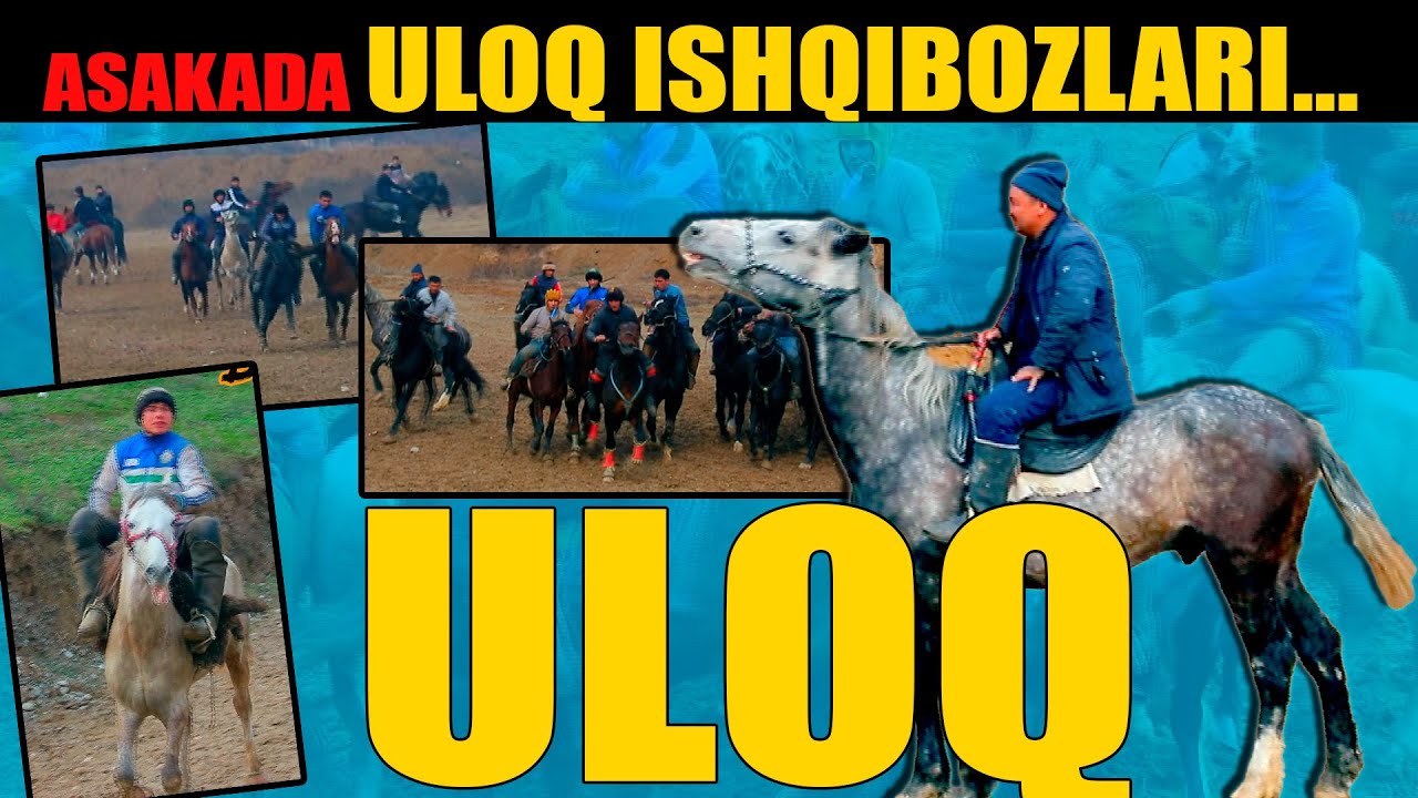 ULOQ ISHQIBOZLARI UCHUN ULOQNI ZO'RI | ANDIJON | ASAKA POLVONLARI