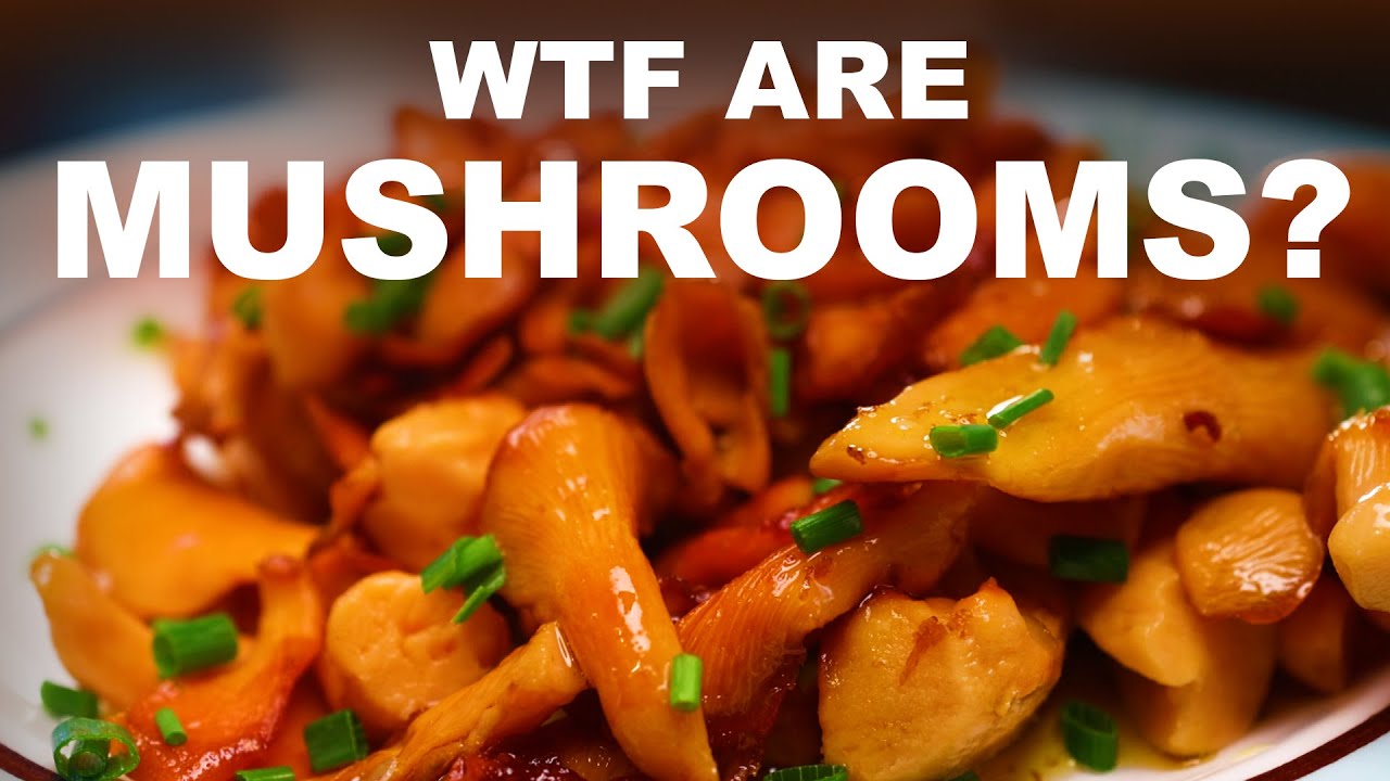 What exactly are mushrooms? What are they made of? They're not vegetables?