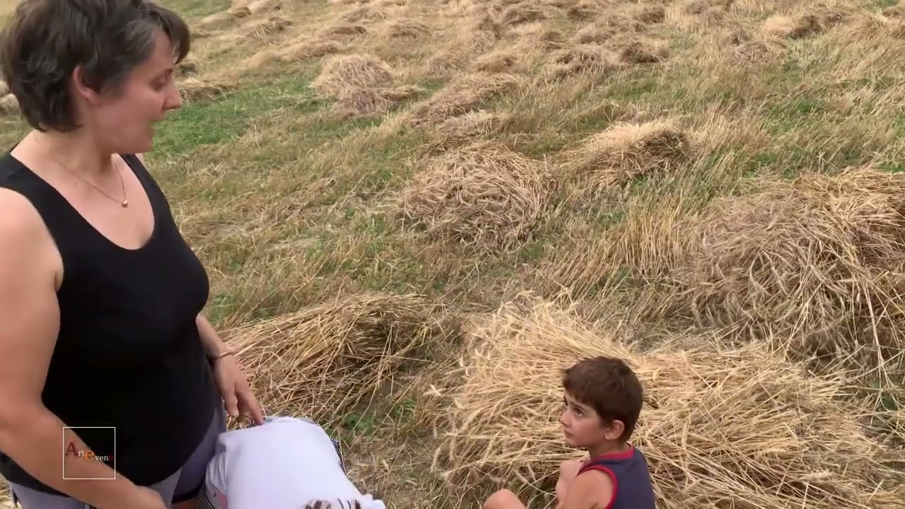 Il grano marzuolo, un grano antico e molto raro.