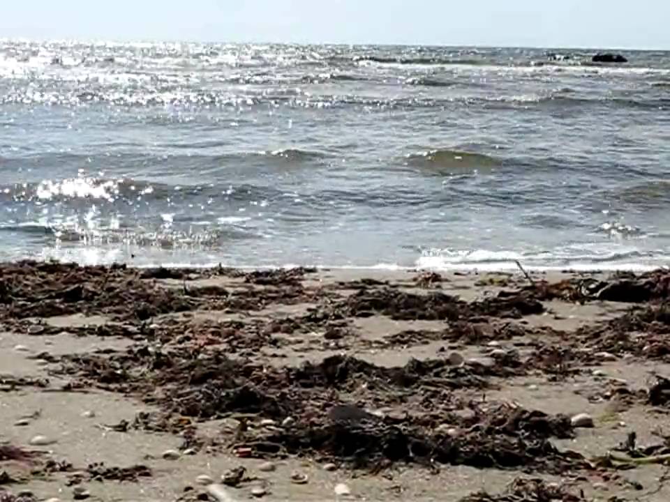 Skrea strand in Falkenberg 2009