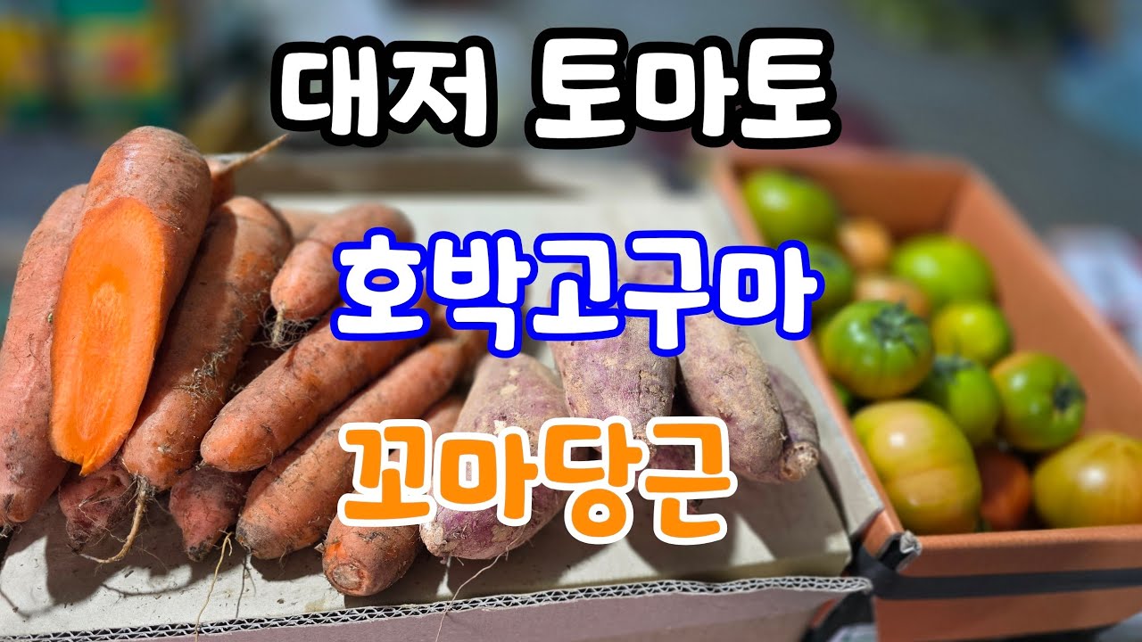 짭짤이 대저 토마토,밤고구마,꼬마당근,찹쌀 들깨 서리태콩가루