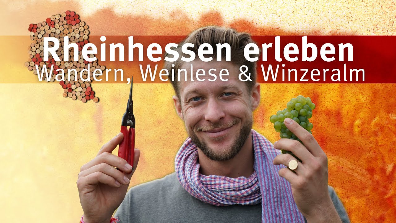 Rheinhessen erleben│Folge 7│Wandern, Weinlese & Winzeralm